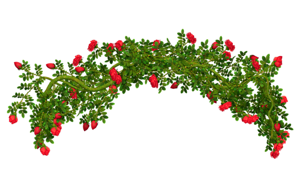This png image - Rosebush Element PNG Clipart Picture, is available for free download