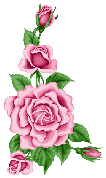 This png image - Roses Decoration PNG Clipart Image, is available for free download