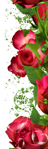 This png image - Roses Decoration PNG Clipart Picture, is available for free download