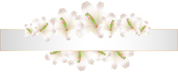 This png image - Soft Deco Banner with Flowers PNG Clip Art, is available for free download