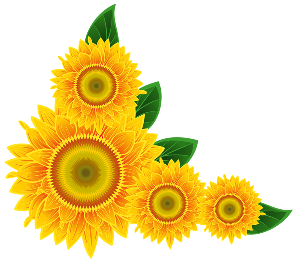 This png image - Sunflower Corner Decoration PNG Clipart Image, is available for free download