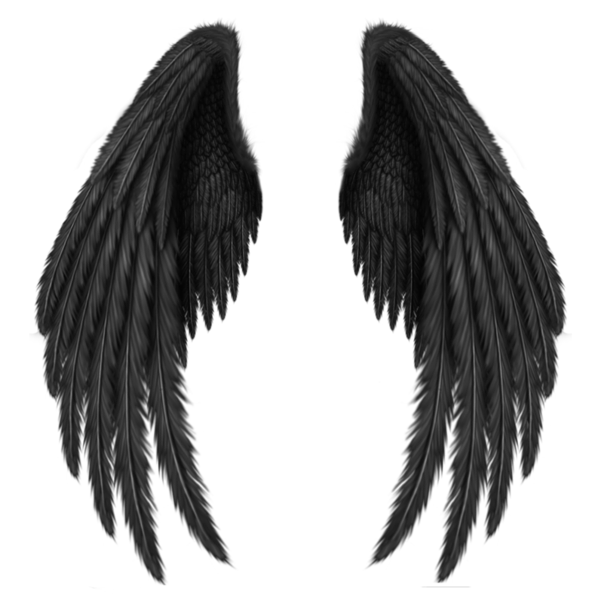 Gallery - Recent updates