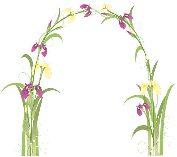 Transparent Floral Arch PNG Picture | Gallery Yopriceville - High