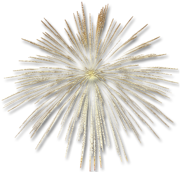 This png image - Transparent Gold Fireworks Effect, is available for free download