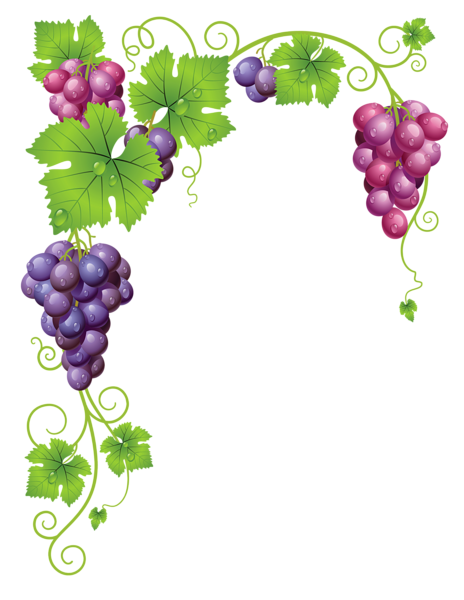 This png image - Transparent Vine Decor PNG Clipart Picture, is available for free download