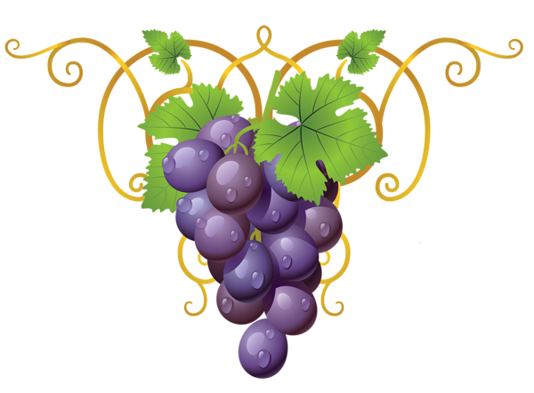 This png image - Transparent Vine Decorative Element PNG Clipart Picture, is available for free download