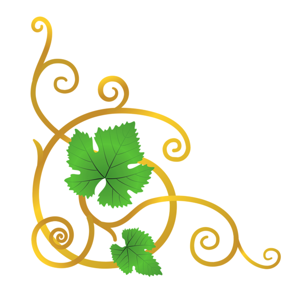 This png image - Transparent Vine Element PNG Clipart Picture, is available for free download