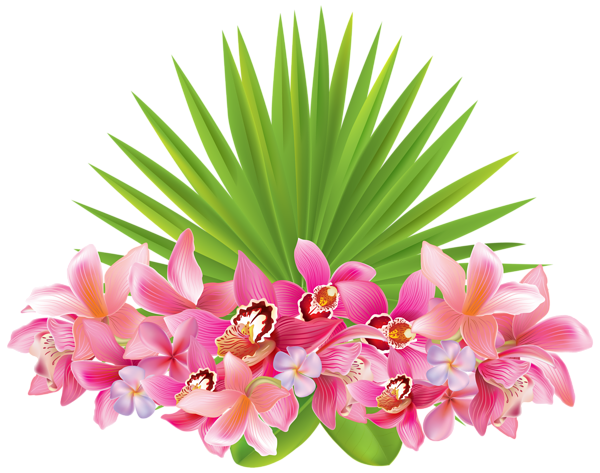 This png image - Tropical Flowers PNG Clipart Image, is available for free download