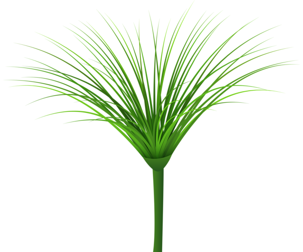 This png image - Tropical Green Leaf PNG Clip Art Image, is available for free download