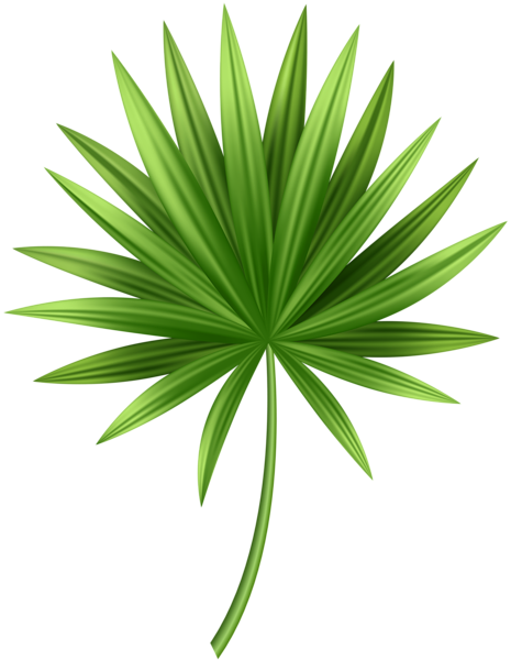 This png image - Tropical Leaf PNG Clip Art, is available for free download