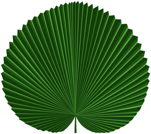 This png image - Tropical Leaf PNG Clipart, is available for free download