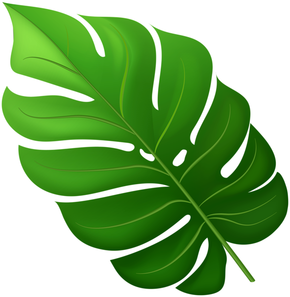 Tropical Leaf PNG Clipart | Gallery Yopriceville - High ... Black gold plant leaves hand painted border gold leaf.
