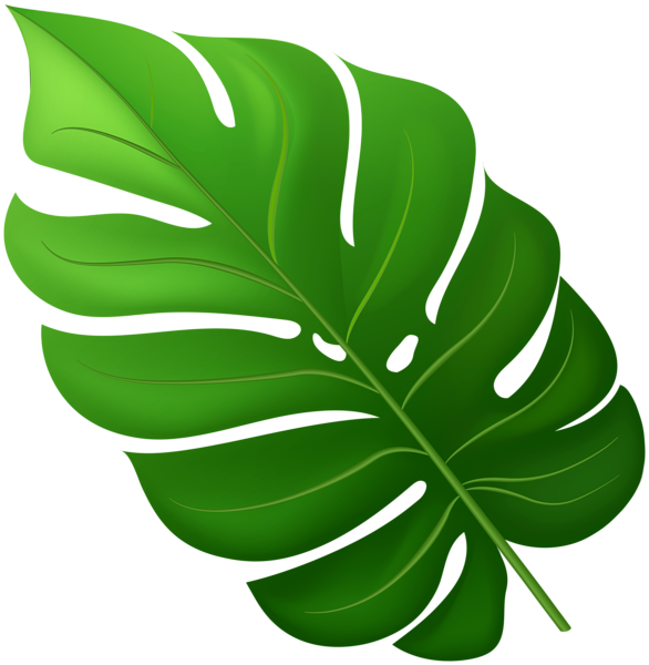 This png image - Tropical Leaf PNG Clipart, is available for free download