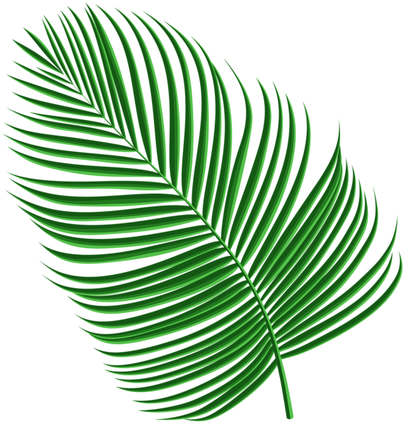 This png image - Tropical Palm Leaf PNG Clipart, is available for free download