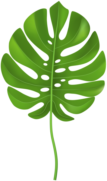 This png image - Tropical Palm Leaf Transparent PNG Clip Art Image, is available for free download
