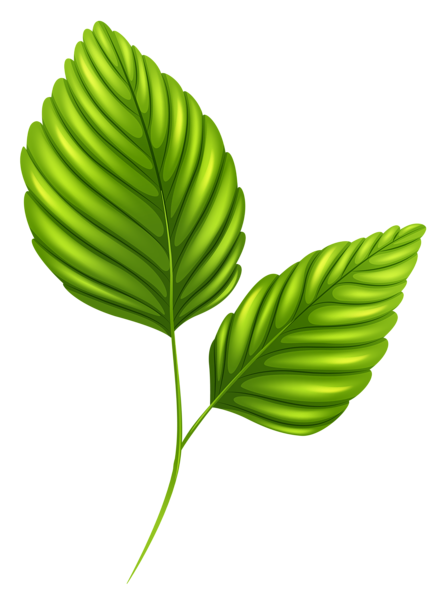 This png image - Two Green Leaves PNG Clipart Image, is available for free download