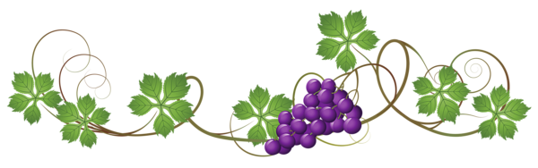 This png image - Vine Decoration PNG Clipart Picture, is available for free download