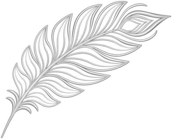 This png image - White Deco Feather PNG Clipart, is available for free download