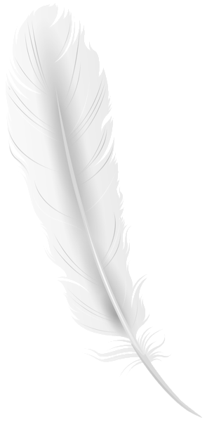 This png image - White Feather PNG Clip Art Image, is available for free download