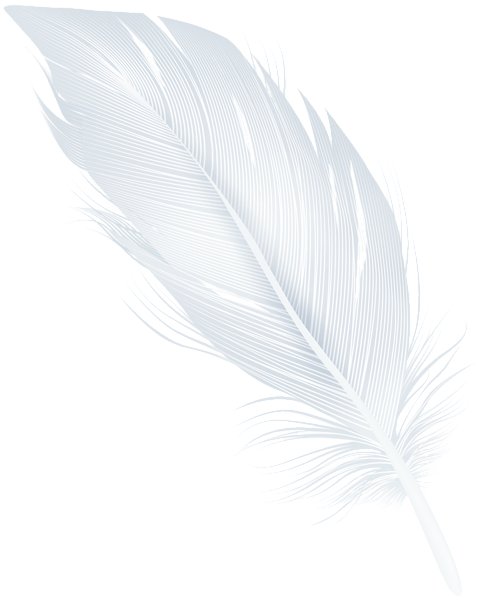 This png image - White Feather PNG Clipart, is available for free download