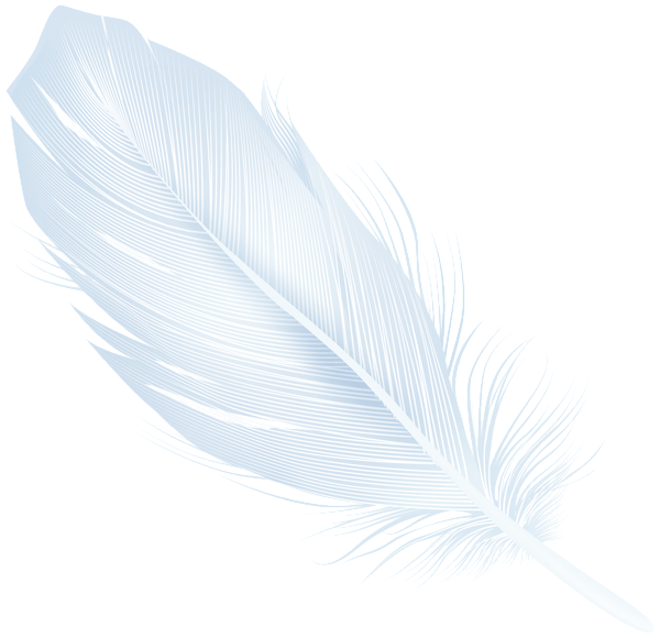 This png image - White Feather PNG Transparent Clipart, is available for free download
