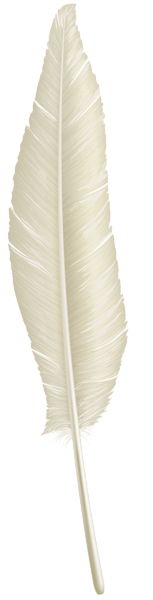 This png image - White Feather Transparent Clip Art, is available for free download