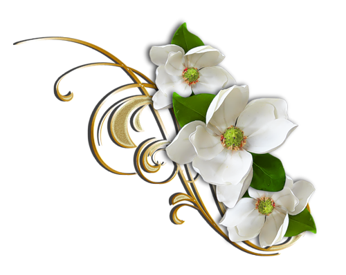 This png image - White Flower with Gold Decorative Elemant Clipart, is available for free download