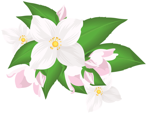 This png image - White Flowers Transparent Clip Art, is available for free download