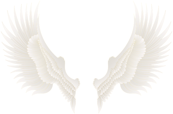 Black Wings PNG Clip Art Image​