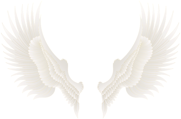 This png image - White Gold Wings PNG Clip Art Image, is available for free download