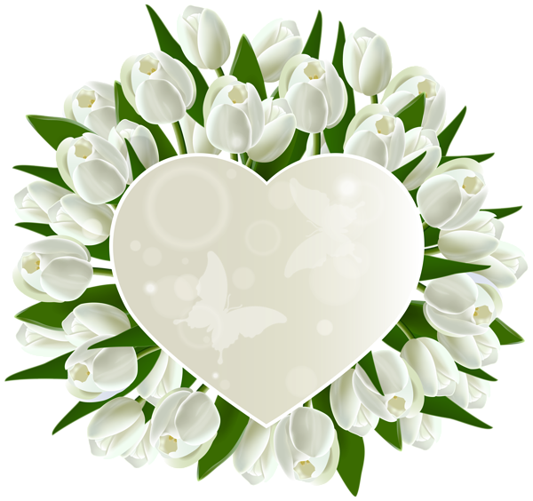 This png image - White Tulips Heart Decoration PNG Clipart Image, is available for free download