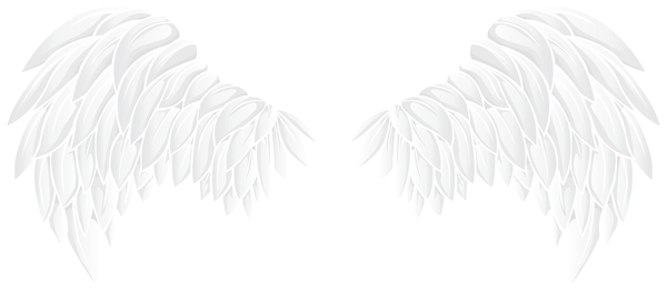 Black Wings Transparent PNG Image