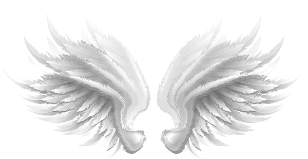 This png image - White Wings Transparent Clip Art Image, is available for free download