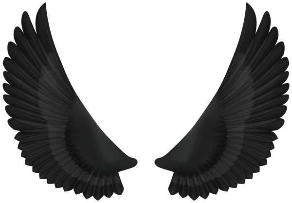 This png image - Wings Black PNG Transparent Clipart, is available for free download