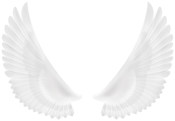 This png image - Wings White PNG Transparent Clipart, is available for free download