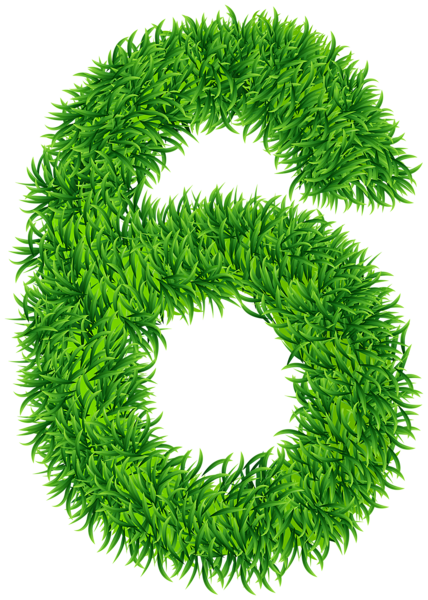 This png image - Six Grass Number Transparent Image, is available for free download