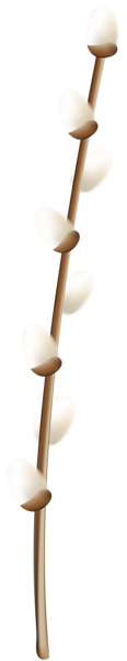This png image - Easter Willow Branch PNG Clip Art, is available for free download