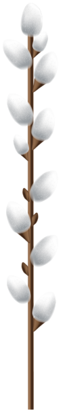 This png image - Easter Willow Branch PNG Clipart, is available for free download