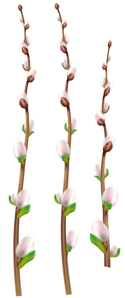 This png image - Easter Willow Branches PNG Clip Art, is available for free download