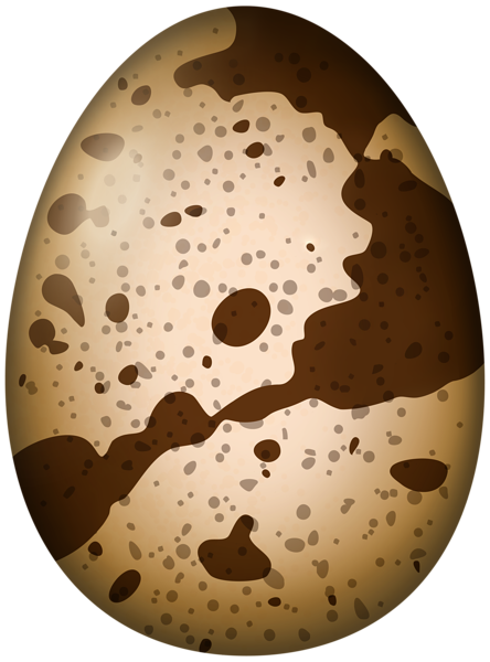 This png image - Quail Egg PNG Transparent Clipart, is available for free download