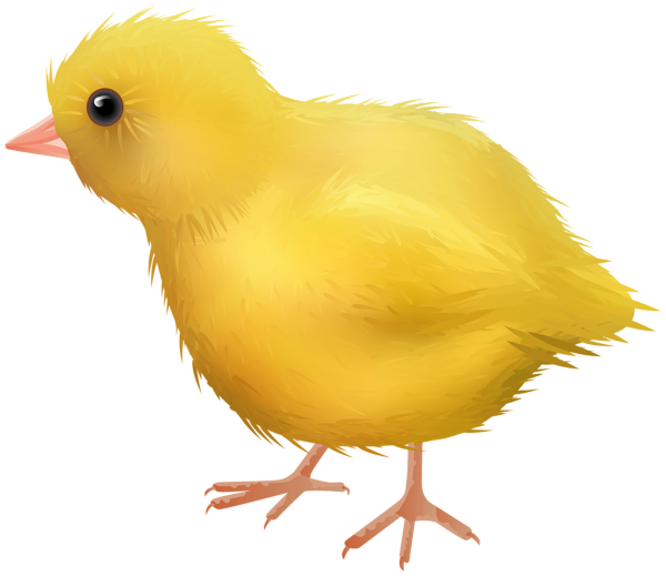 This png image - Yellow Chicken Transparent Image, is available for free download