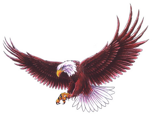 This jpeg image - EAGLE2, is available for free download