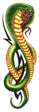 This png image - cobra, is available for free download