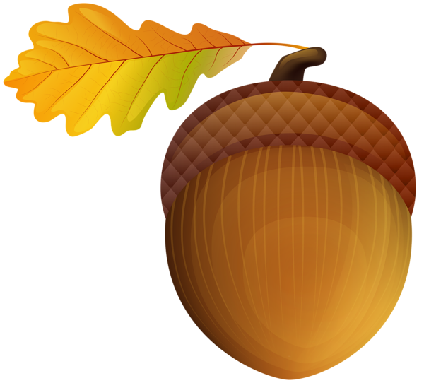 Acorn PNG Clip Art Image | Gallery Yopriceville - High-Quality Images