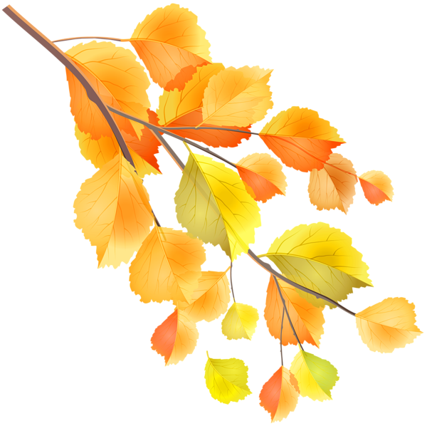 This png image - Autumn Branch PNG Clip Art Image, is available for free download