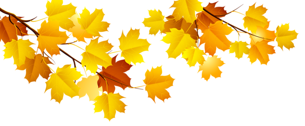 This png image - Autumn Branch PNG Clipart, is available for free download