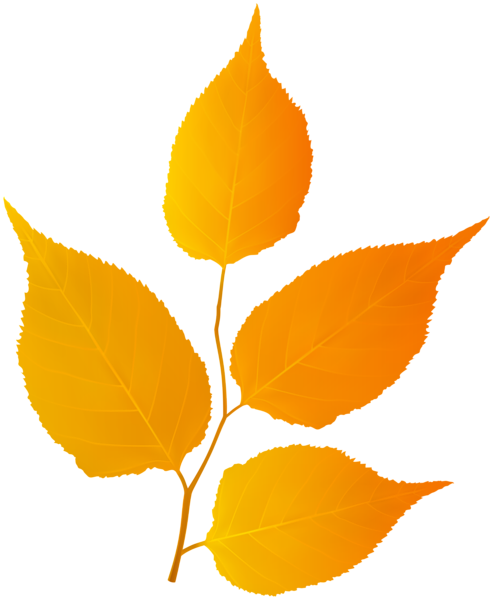 This png image - Autumn Branch with Leaves PNG Clipart, is available for free download