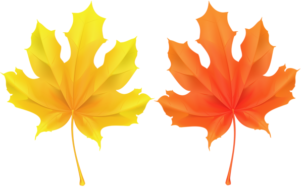 This png image - Autumn Deco Leaves PNG Clip Art Image, is available for free download
