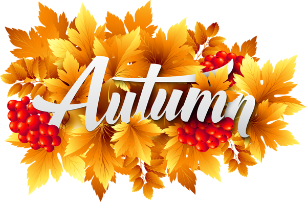 This png image - Autumn Decorative Image PNG Clipart, is available for free download