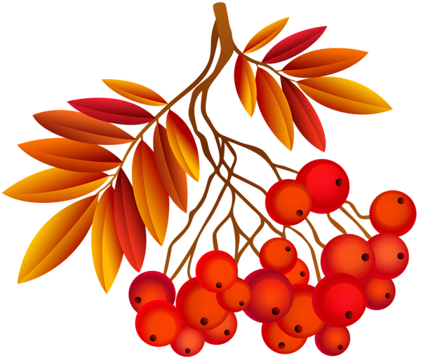 This png image - Autumn Leaf Deco Plant PNG Image, is available for free download
